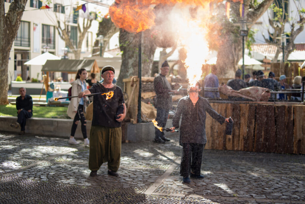 01062018164220DSC_2831-1024x684