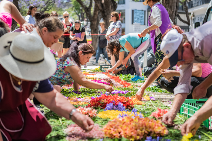 Festa-da-Flor-2023-0008©Francisco-Correia