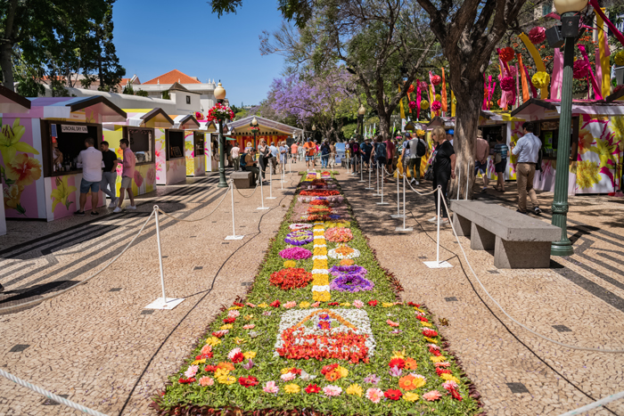 Festa-da-Flor-2023-0999©Francisco-Correia